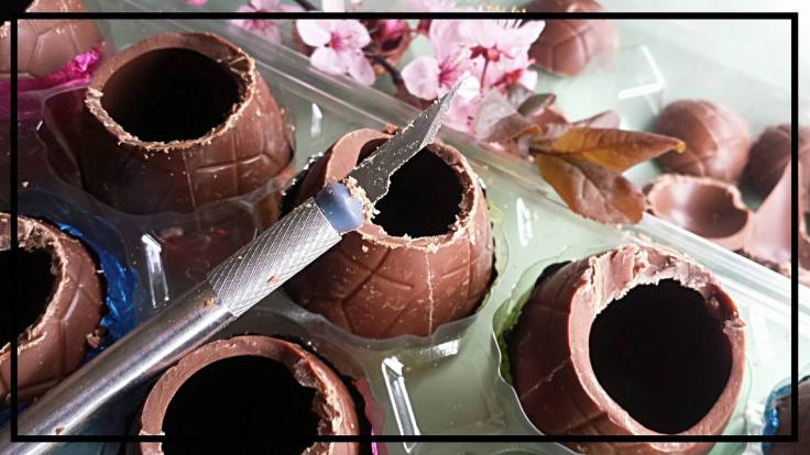 12894390_951919528188885_81953545_o