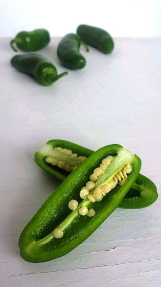 13833379_1024737060907131_418264774_o